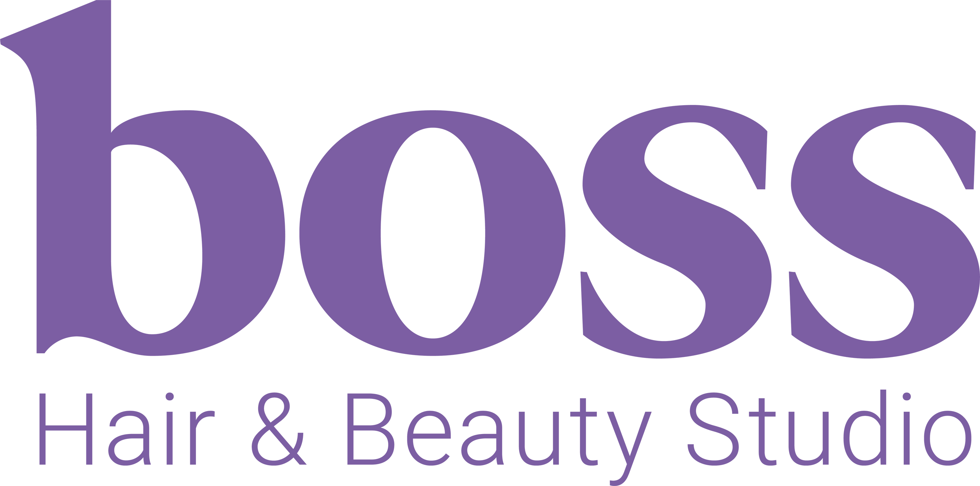 Boss Hair Studio Wella Colour Experts